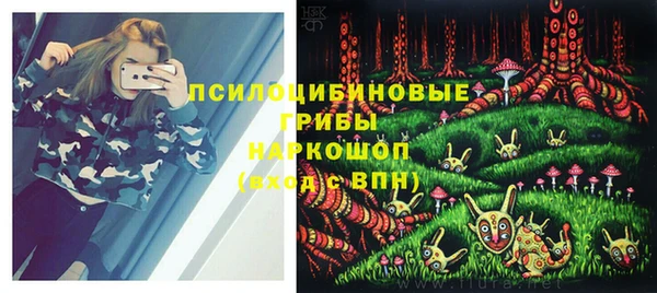 МДПВ Богородицк