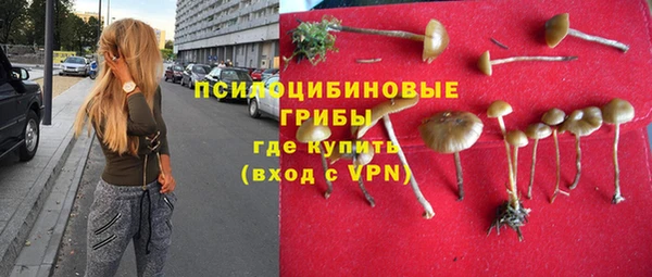 прущая мука Богородск