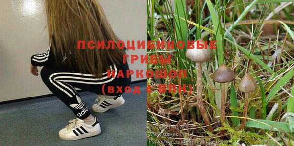 круглые Богданович
