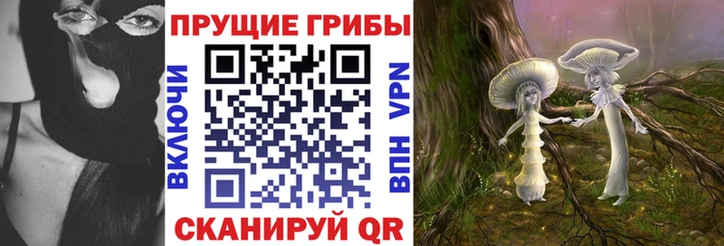 Галлюциногенные грибы Psilocybe  наркотики  Кольчугино 